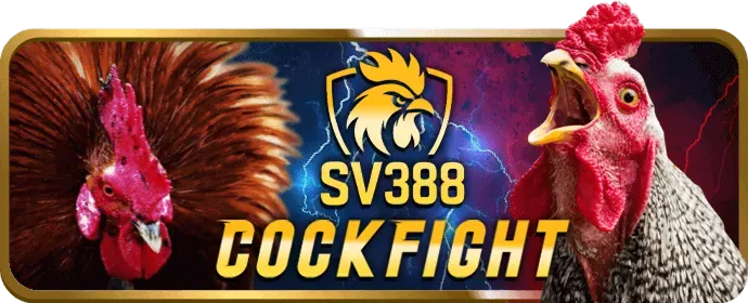 VIP Đồng 666win nổ hũ
